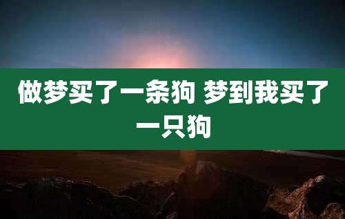 做梦买了一条狗 梦到我买了一只狗