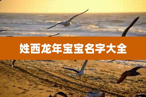 姓西龙年宝宝名字大全