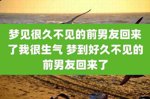 梦见很久不见的前男友回来了我很生气 梦到好久不见的前男友回来了