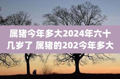 属猪今年多大2024年六十几岁了 属猪的202今年多大