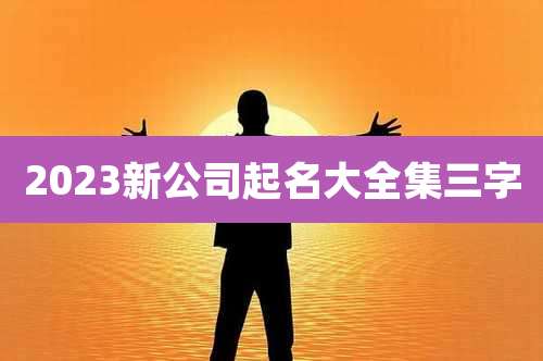 2023新公司起名大全集三字