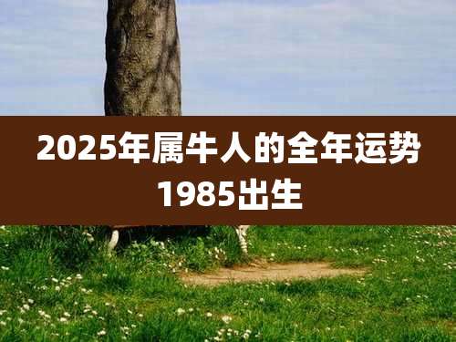 2025年属牛人的全年运势1985出生
