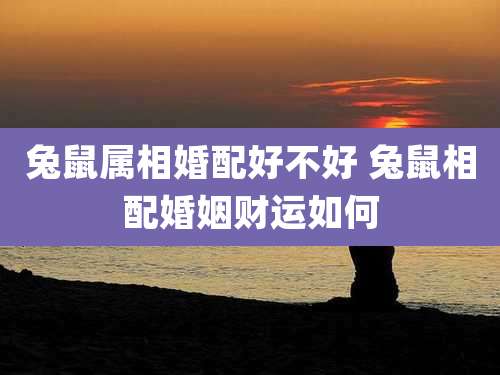 兔鼠属相婚配好不好 兔鼠相配婚姻财运如何