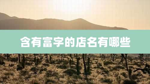 含有富字的店名有哪些