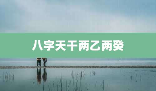 八字天干两乙两癸