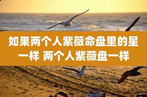 如果两个人紫薇命盘里的星一样 两个人紫薇盘一样