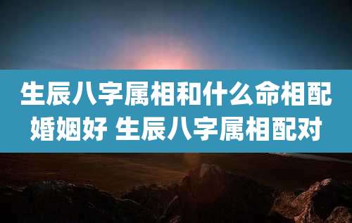 生辰八字属相和什么命相配婚姻好 生辰八字属相配对