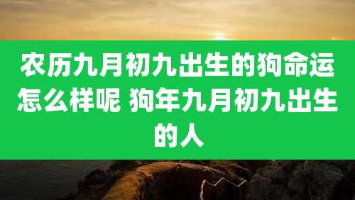 农历九月初九出生的狗命运怎么样呢 狗年九月初九出生的人