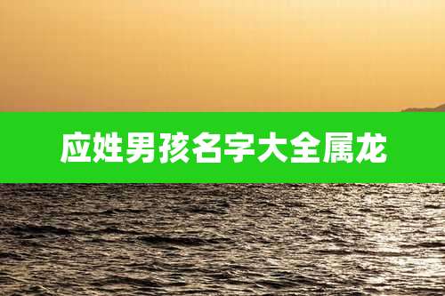 应姓男孩名字大全属龙