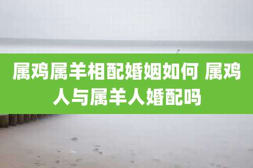 属鸡属羊相配婚姻如何 属鸡人与属羊人婚配吗