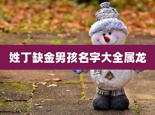 姓丁缺金男孩名字大全属龙