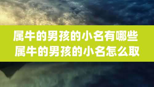 属牛的男孩的小名有哪些 属牛的男孩的小名怎么取