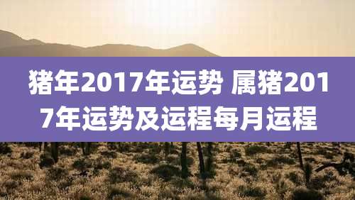 猪年2017年运势 属猪2017年运势及运程每月运程