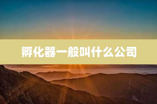 孵化器一般叫什么公司