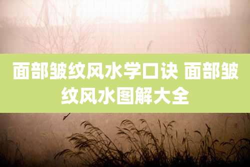 面部皱纹风水学口诀 面部皱纹风水图解大全