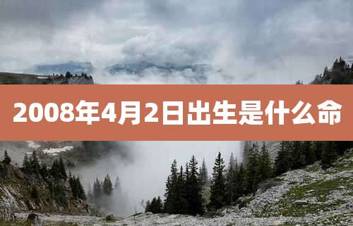 2008年4月2日出生是什么命