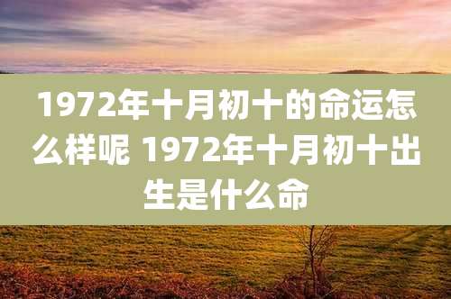 1972年十月初十的命运怎么样呢 1972年十月初十出生是什么命