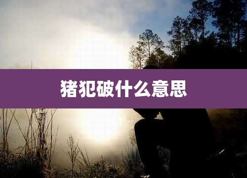 猪犯破什么意思