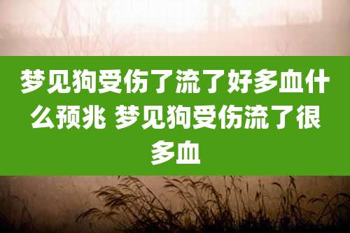 梦见狗受伤了流了好多血什么预兆 梦见狗受伤流了很多血
