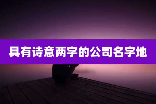 具有诗意两字的公司名字地