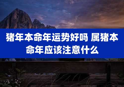 猪年本命年运势好吗 属猪本命年应该注意什么
