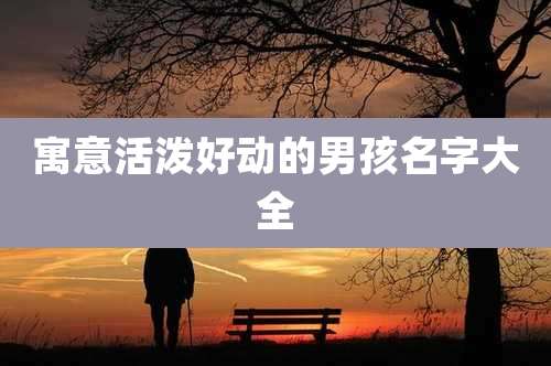 寓意活泼好动的男孩名字大全