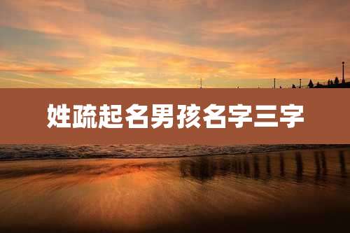 姓疏起名男孩名字三字