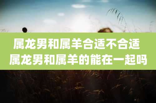 属龙男和属羊合适不合适 属龙男和属羊的能在一起吗