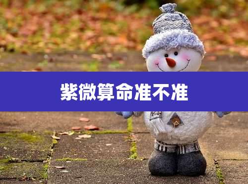 紫微算命准不准