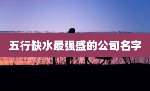 五行缺水最强盛的公司名字