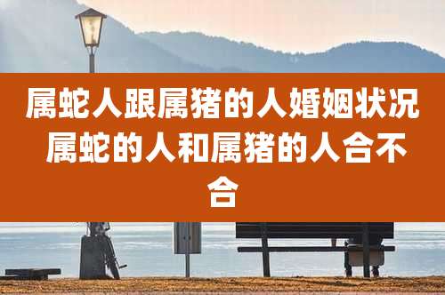 属蛇人跟属猪的人婚姻状况 属蛇的人和属猪的人合不合