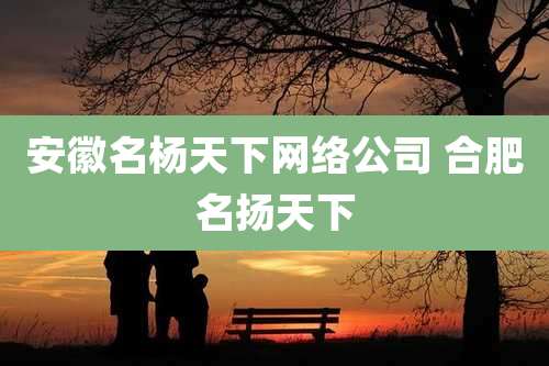 安徽名杨天下网络公司 合肥名扬天下