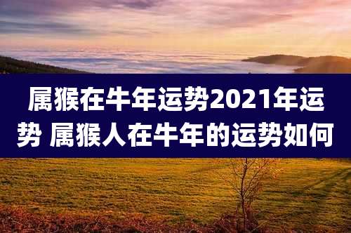属猴在牛年运势2021年运势 属猴人在牛年的运势如何