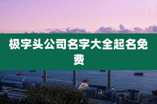 极字头公司名字大全起名免费