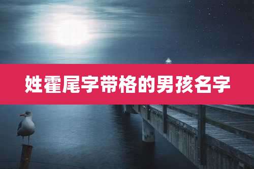 姓霍尾字带格的男孩名字