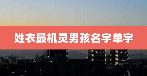 姓衣最机灵男孩名字单字