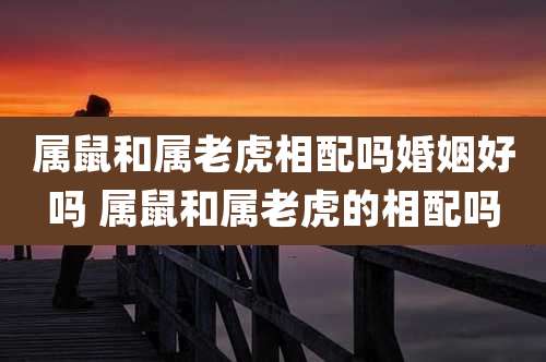 属鼠和属老虎相配吗婚姻好吗 属鼠和属老虎的相配吗