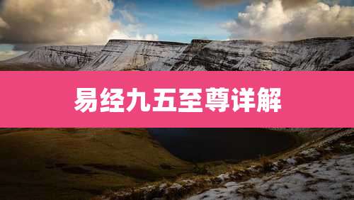 易经九五至尊详解