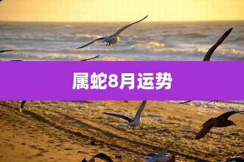 属蛇8月运势
