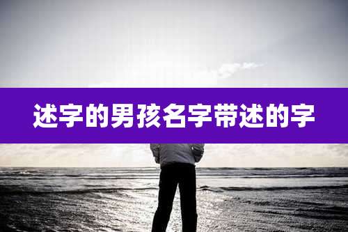 述字的男孩名字带述的字