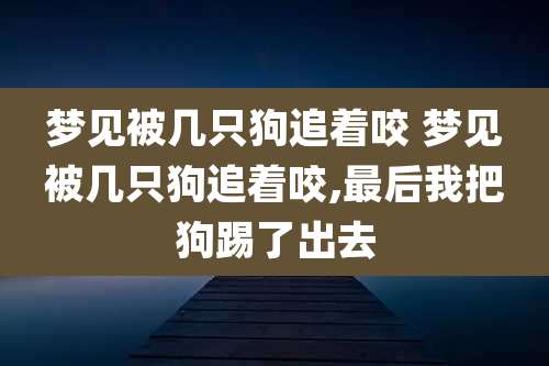 梦见被几只狗追着咬 梦见被几只狗追着咬,最后我把狗踢了出去
