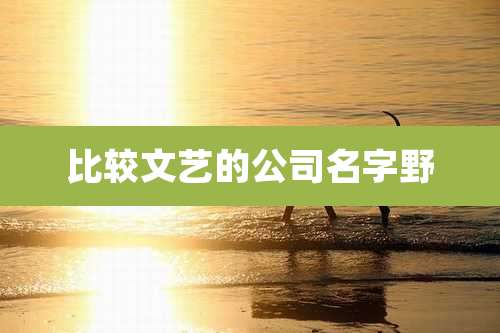 比较文艺的公司名字野