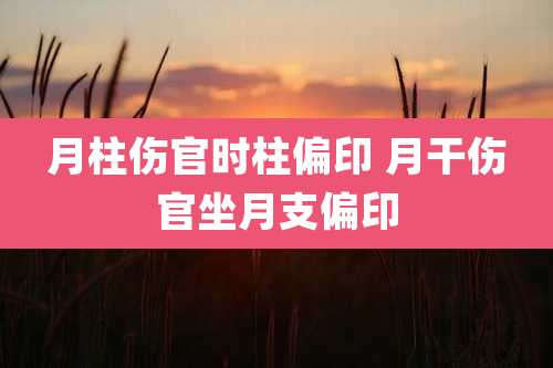 月柱伤官时柱偏印 月干伤官坐月支偏印