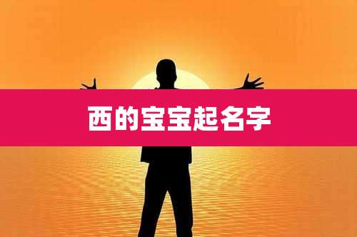 西的宝宝起名字