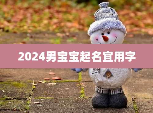 2024男宝宝起名宜用字