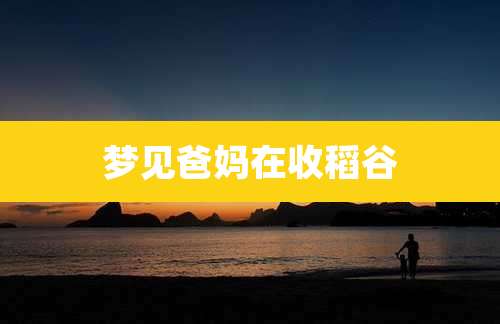 梦见爸妈在收稻谷