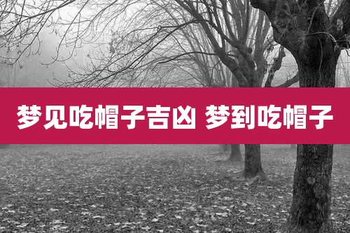 梦见吃帽子吉凶 梦到吃帽子