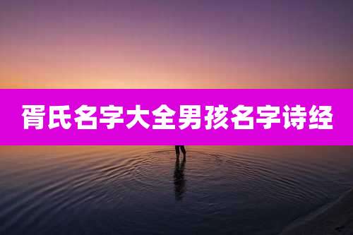 胥氏名字大全男孩名字诗经