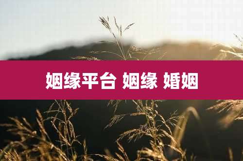 姻缘平台 姻缘 婚姻