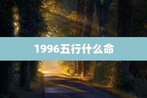 1996五行什么命